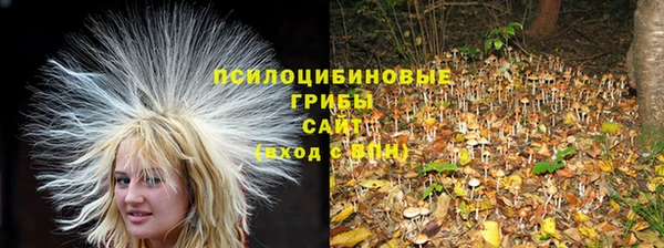 мяу мяу мука Бородино