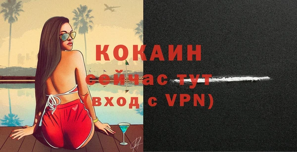 мяу мяу мука Бородино