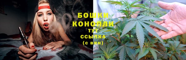 мяу мяу мука Бородино