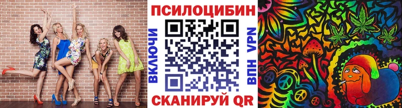 Псилоцибиновые грибы Psilocybine cubensis Фрязино