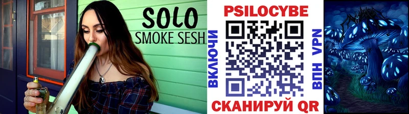 Купить закладки  Фрязино  Псилоцибиновые грибы ЛСД 