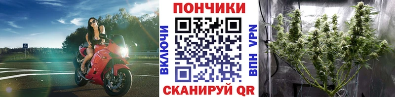 Марихуана VHQ  Купить где  Фрязино 